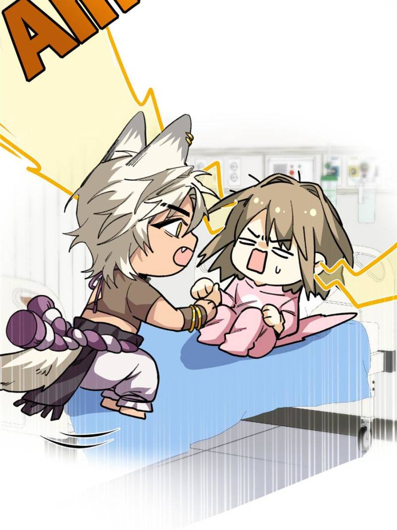 80990436 800 1067 88774